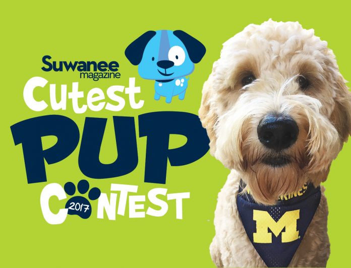 2017 Cutest Pup Contest winner